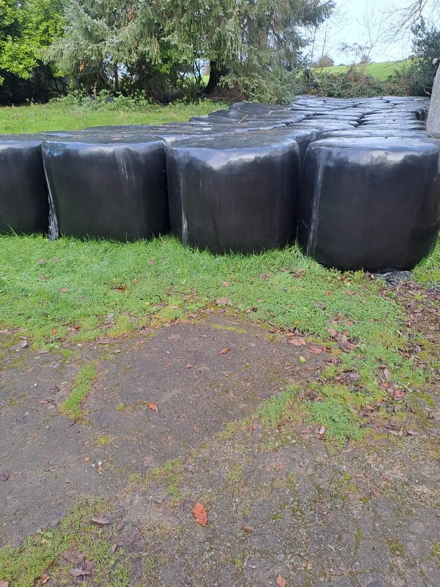 Top Quality Silage For Sale - Image 1