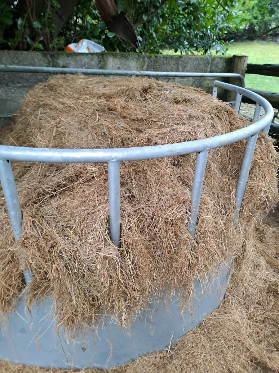 Top Quality Silage For Sale - Image 2