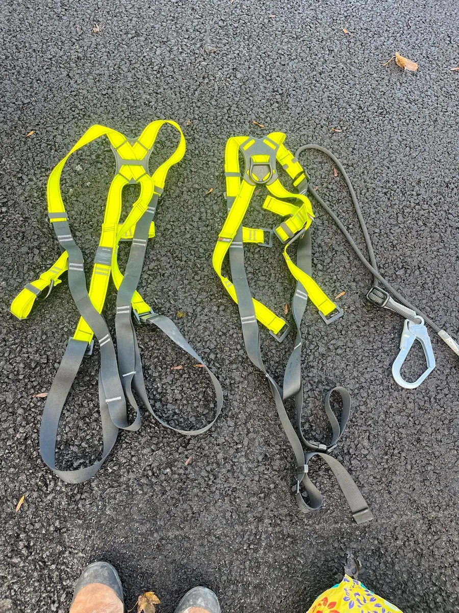 Safety harness - Image 1