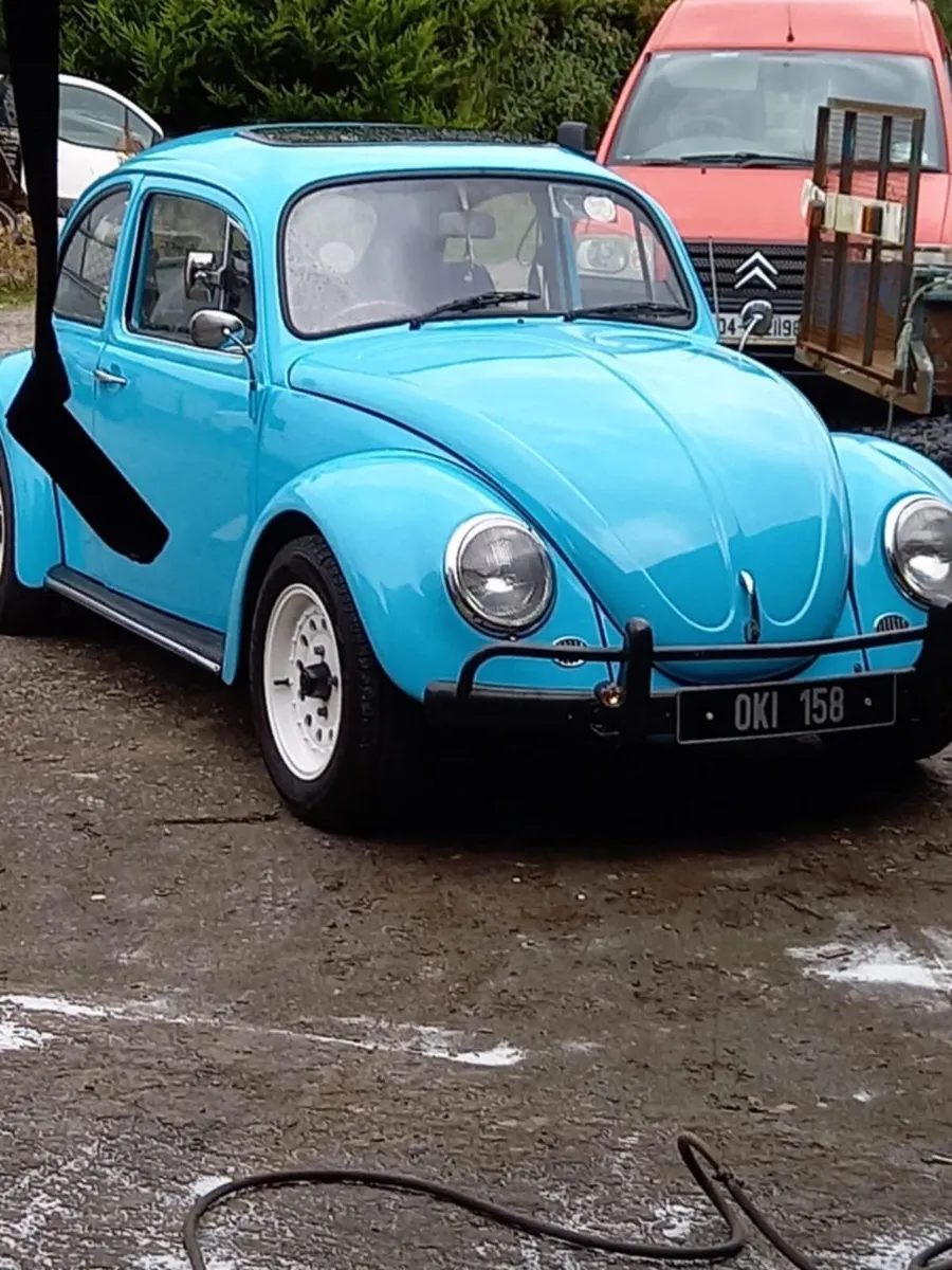 Vw beetle - Image 4