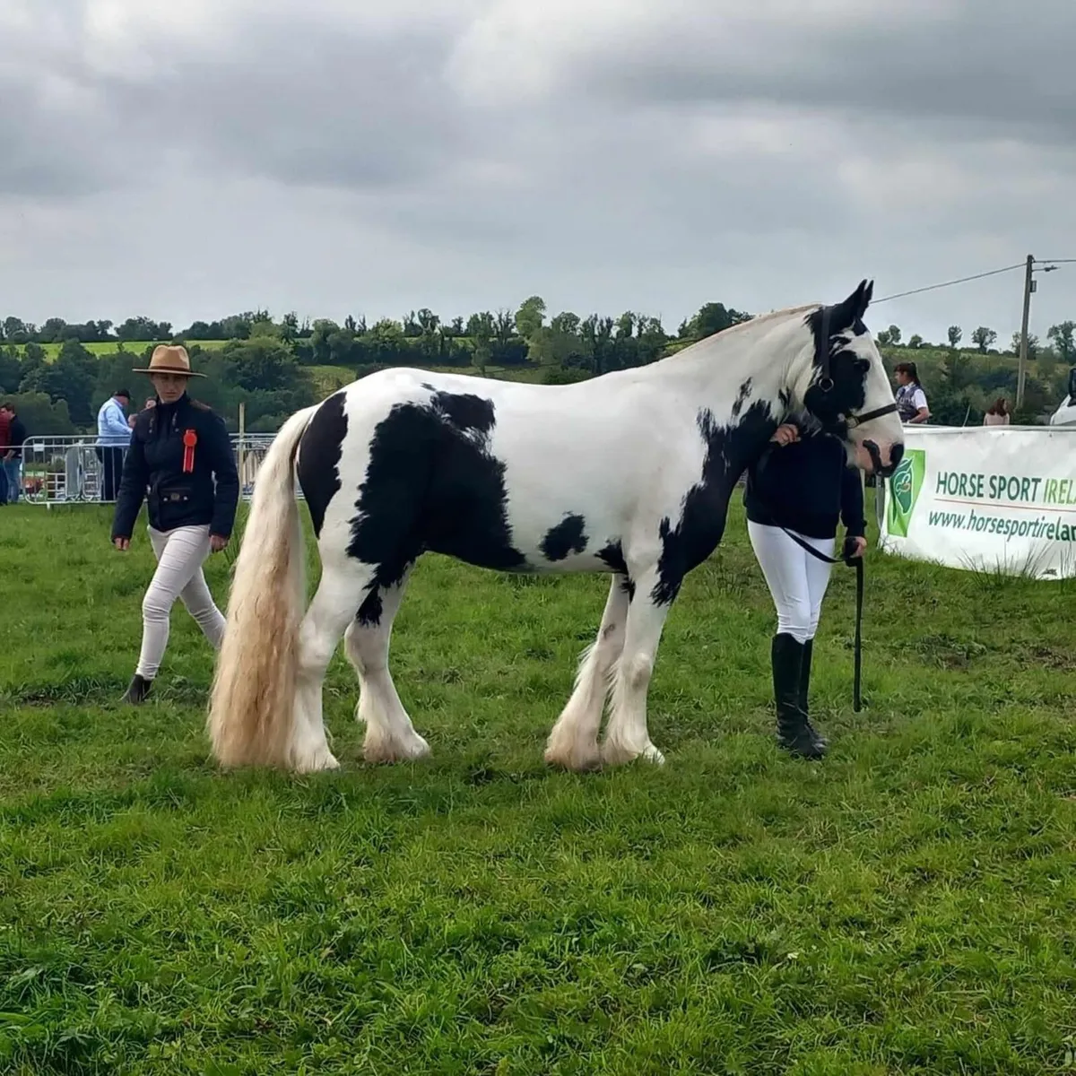 ‼️GENUINE HUNTER COB‼️ - Image 1