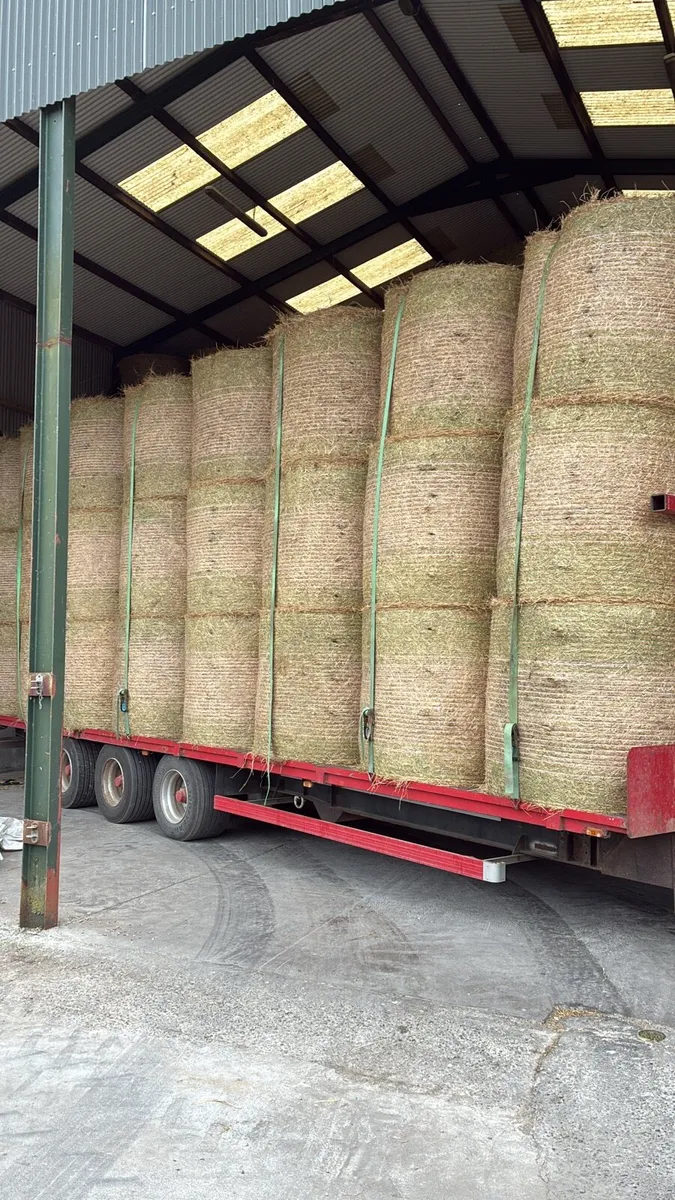 Hay - Image 2
