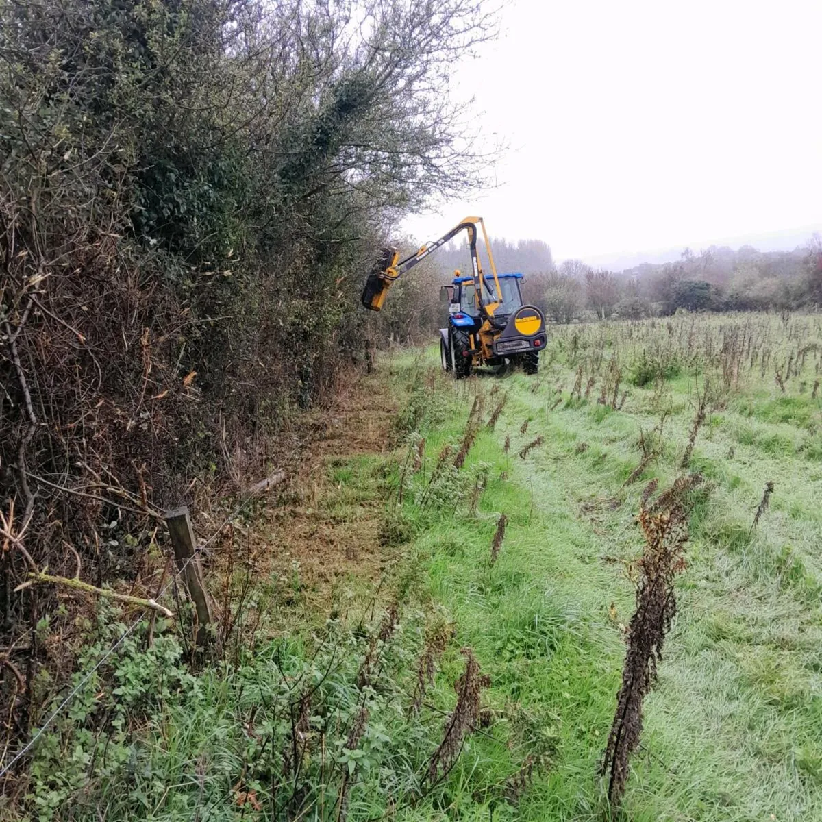 Hedgecutting - Image 3