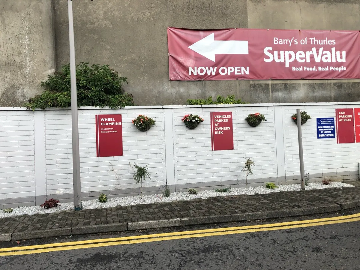 Container gardening for businesses & homes - Image 2