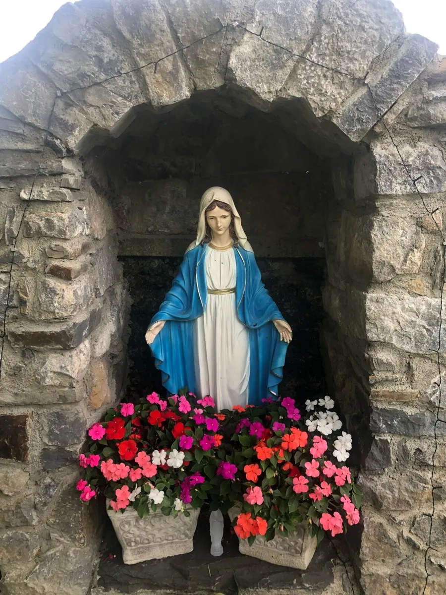 Container gardening for businesses & homes - Image 4