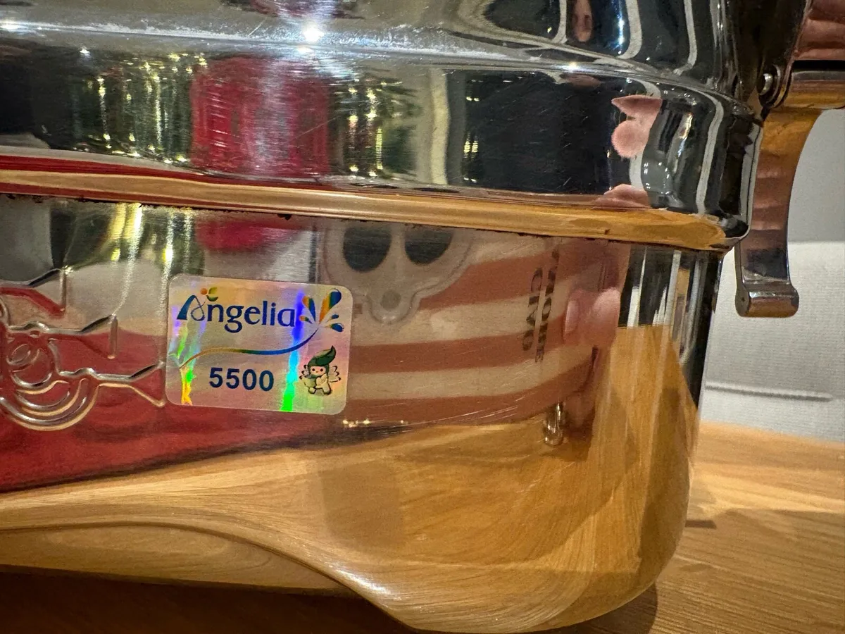 Angel Juicer - Angelia 5500 - Image 2