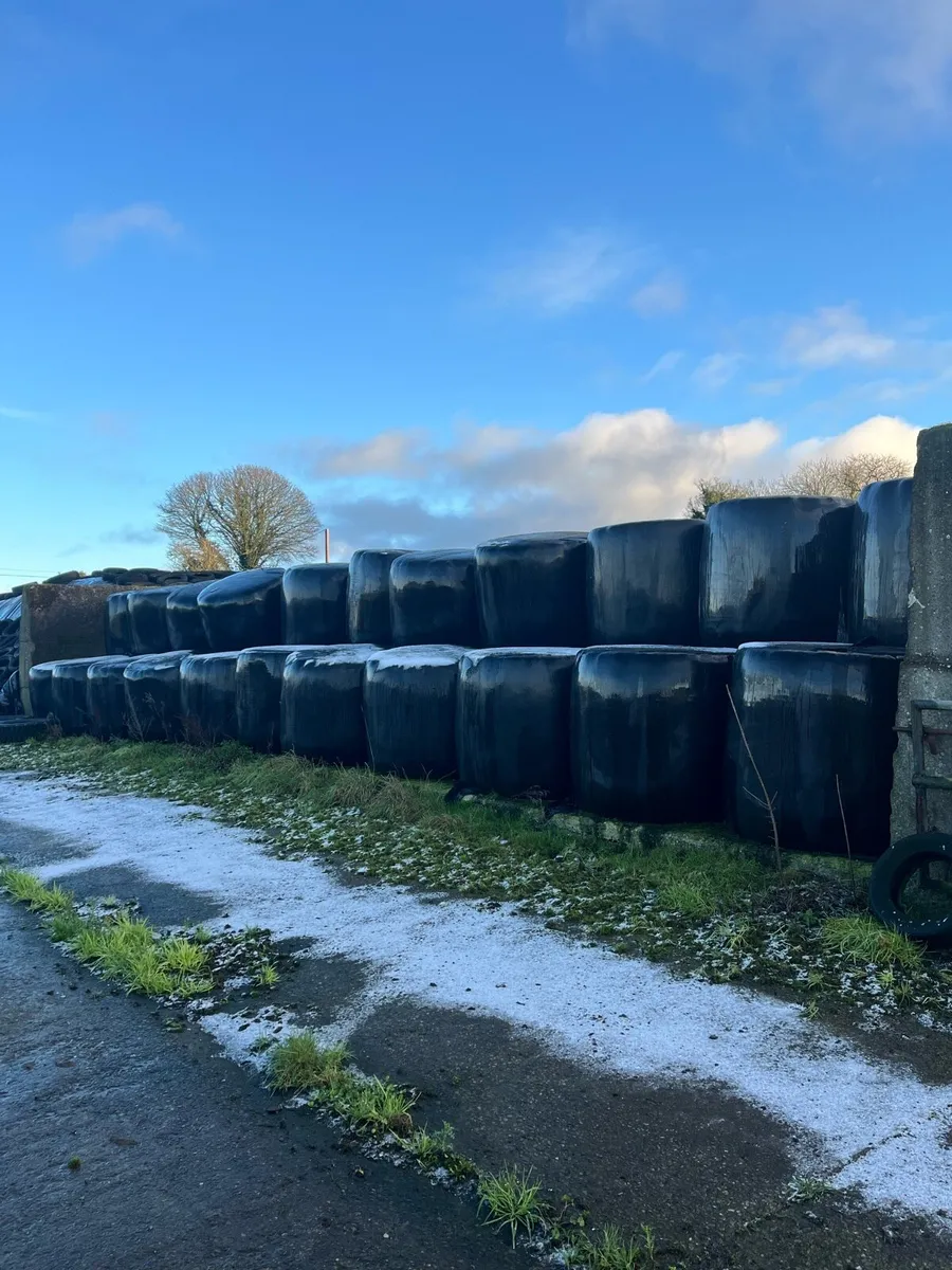 Silage Bales