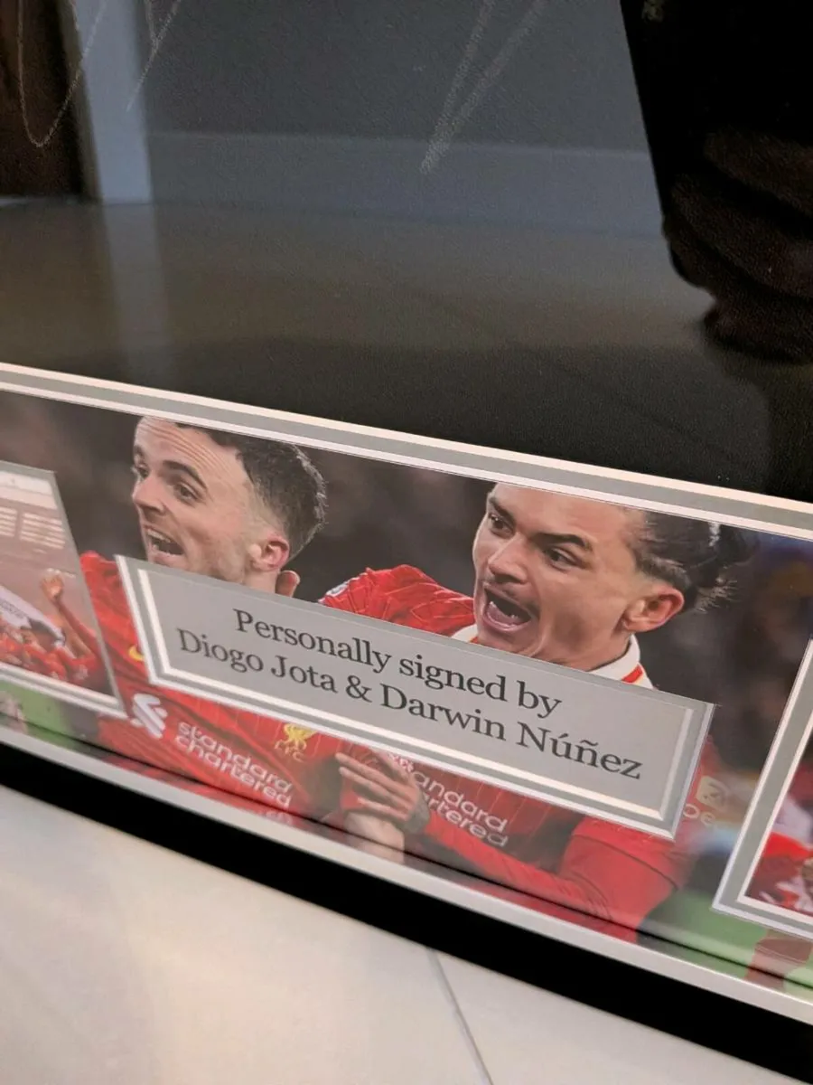 Diogo Jota and Darwin Nunez Liverpool FC - Image 4