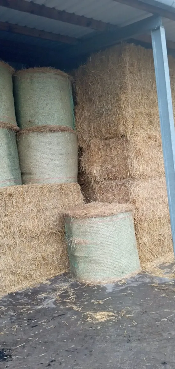 Hay Haylage Straw - Image 1