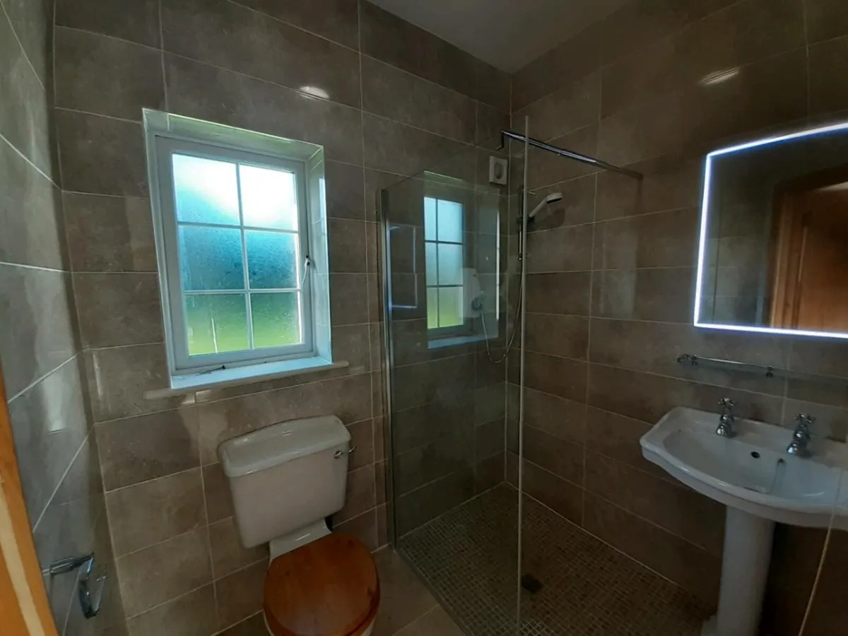 Bathroom renovations - Image 4