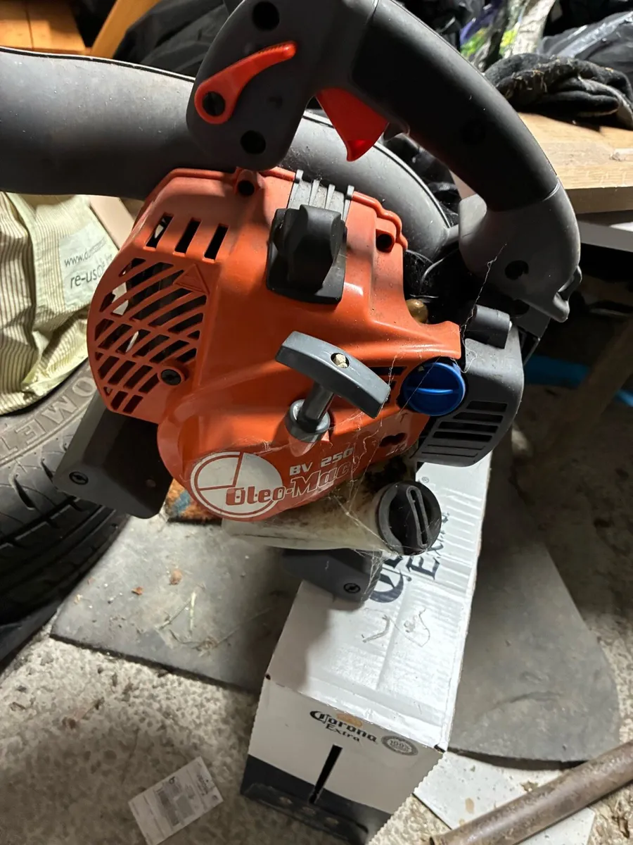 Leaf blower  Dewalt radio - Image 1