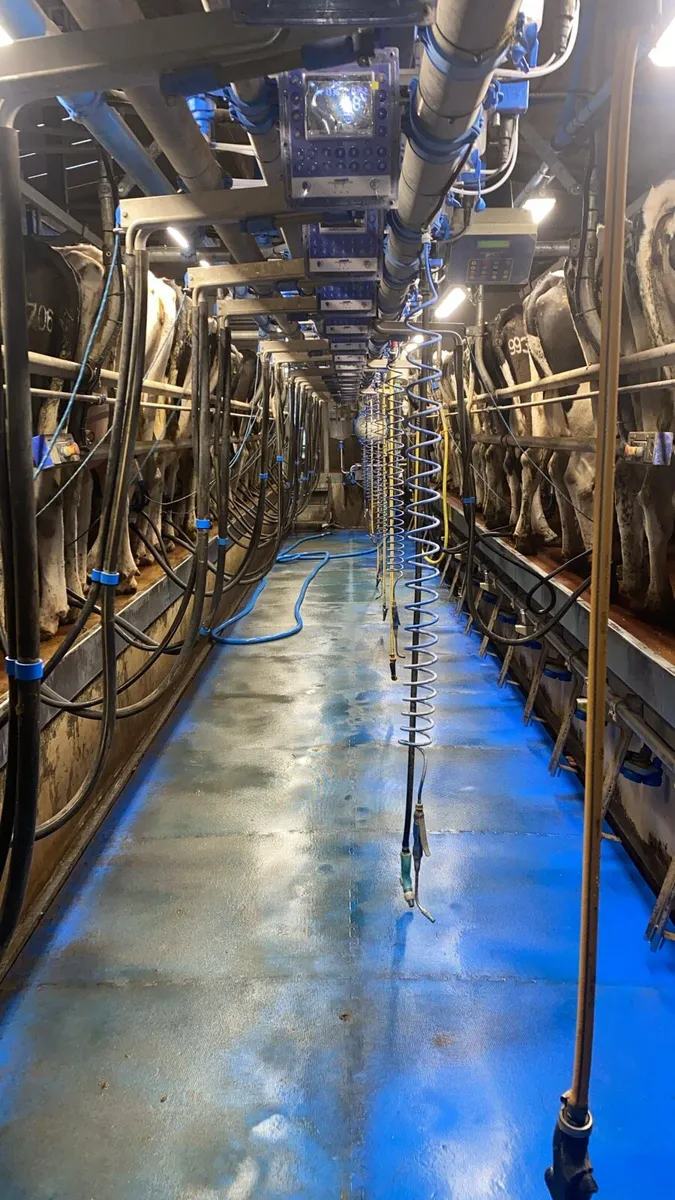 Milking / farm work wanted