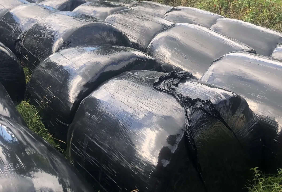 Silage bales / small square hay bales - Image 3