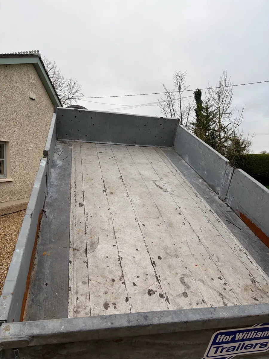 2023 10x5,6 Ifor Williams - Image 3