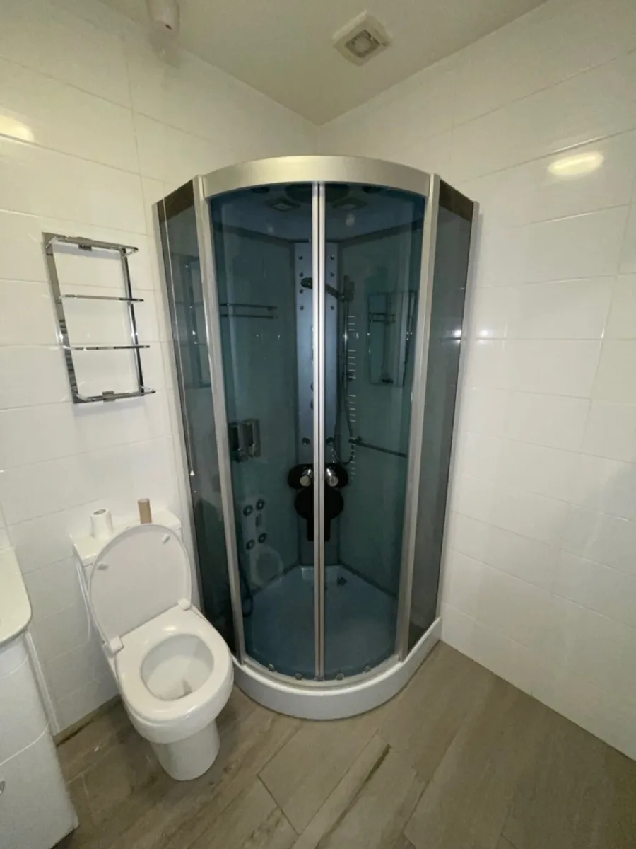 Steam Shower - Image 1