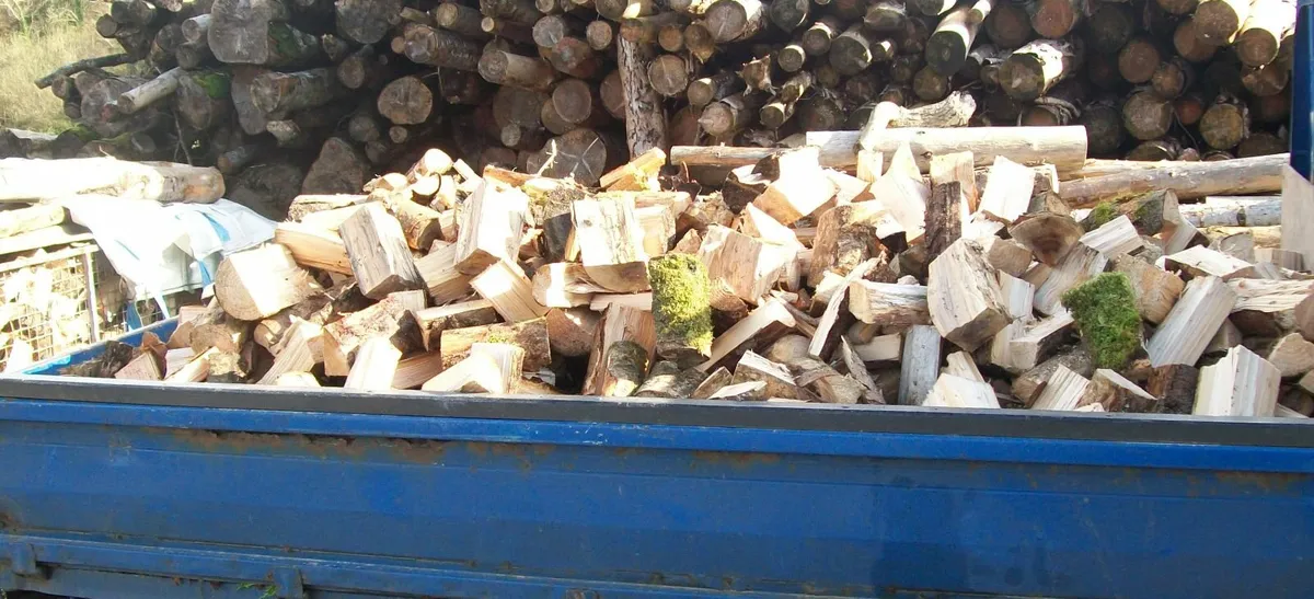 Firewood - Image 2