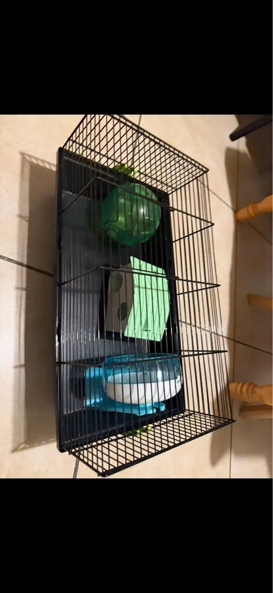 Hamster cage - Image 1