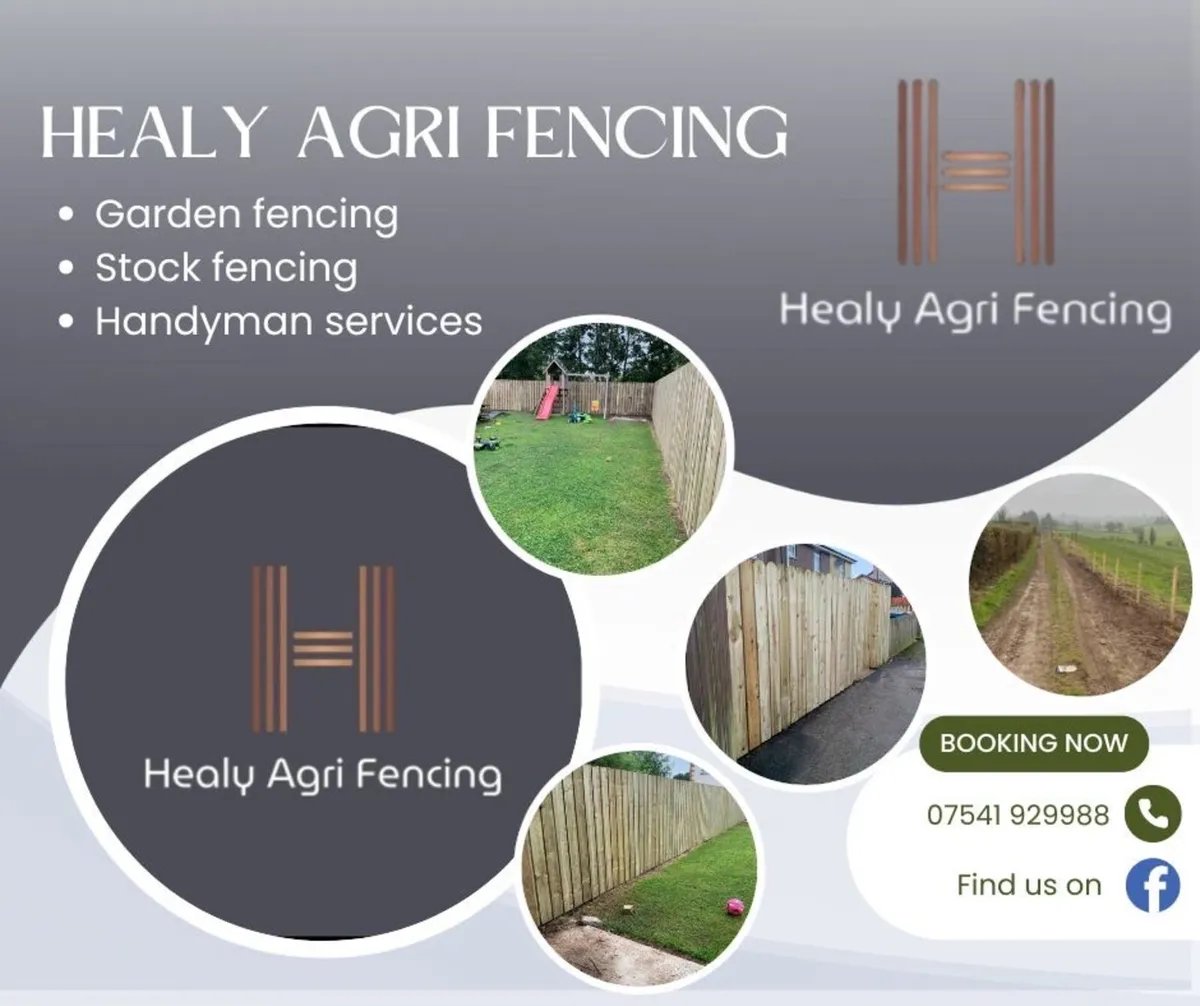 Garden fencing / odd jobs - Image 1
