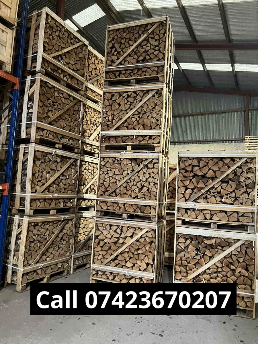 Kiln‑dried logs - Birch wood / Ready to Burn - Image 1