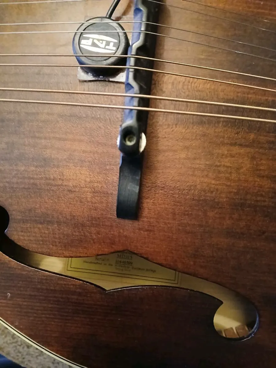 Eastman MD315 - Image 2