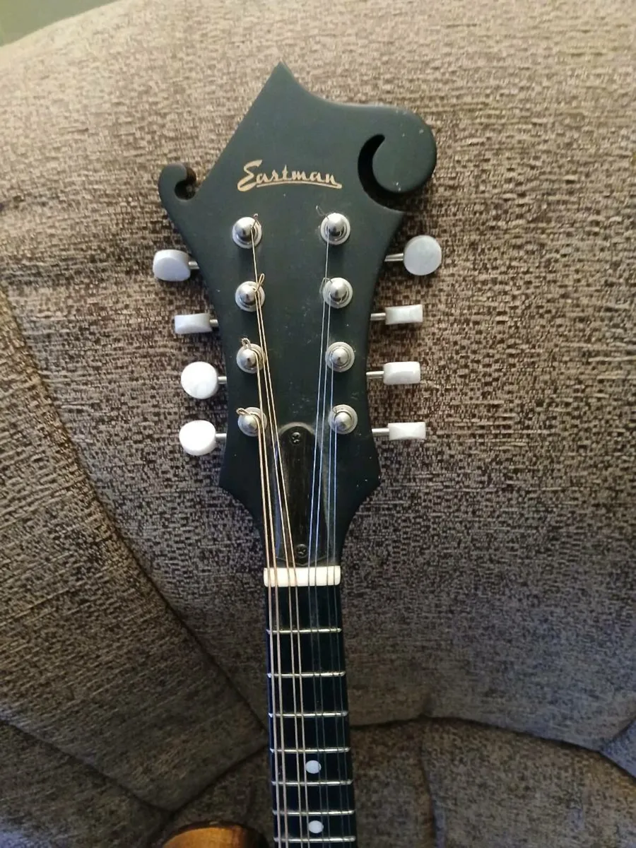 Eastman MD315 - Image 1