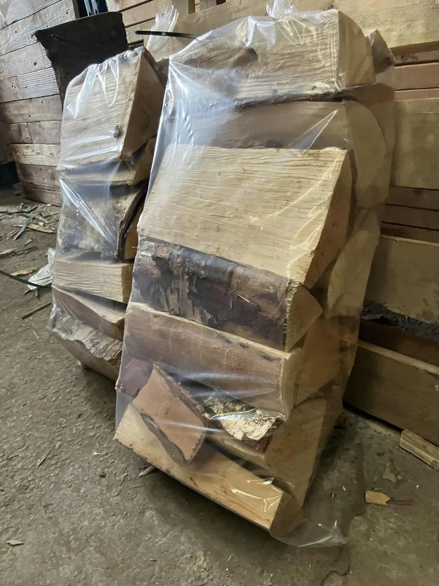 Birch wood Bags - hardwood - Image 3