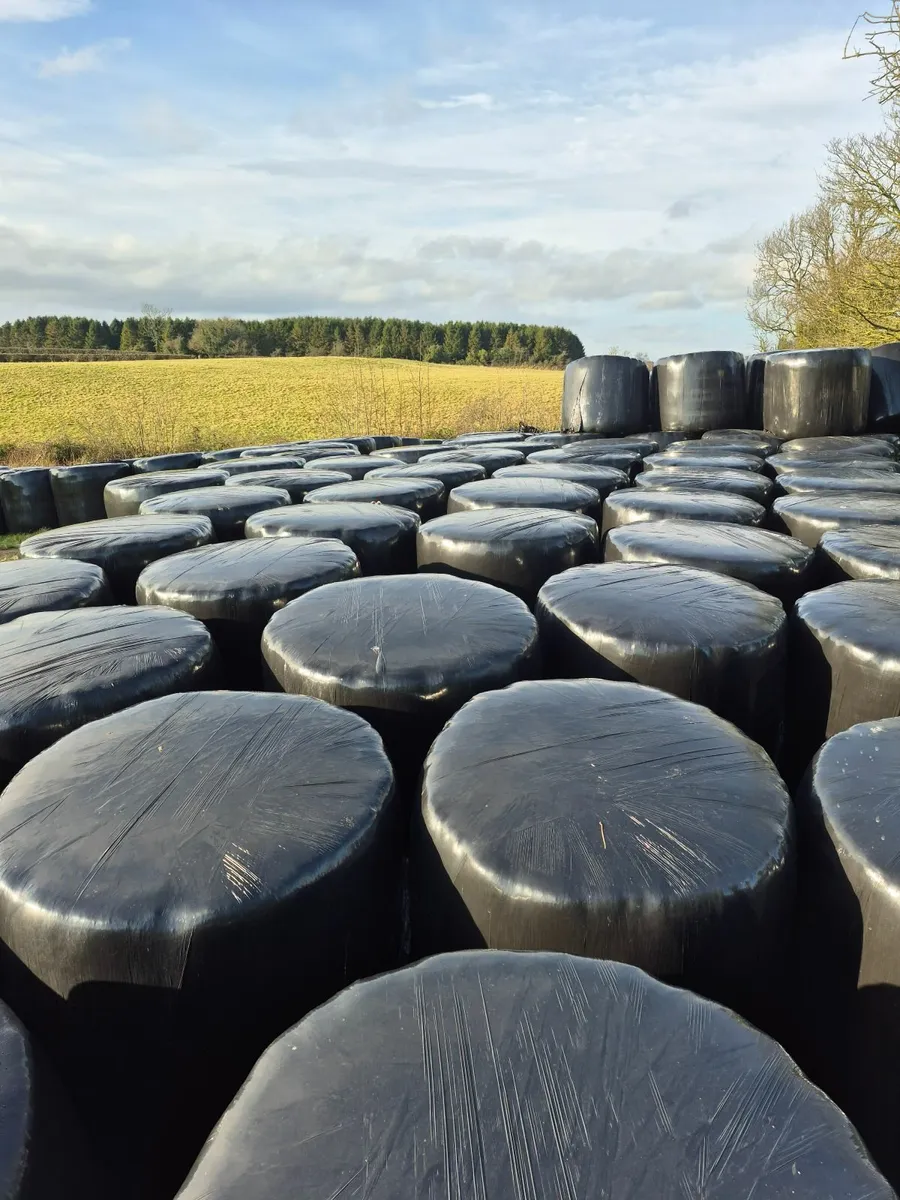 Round Silage bales