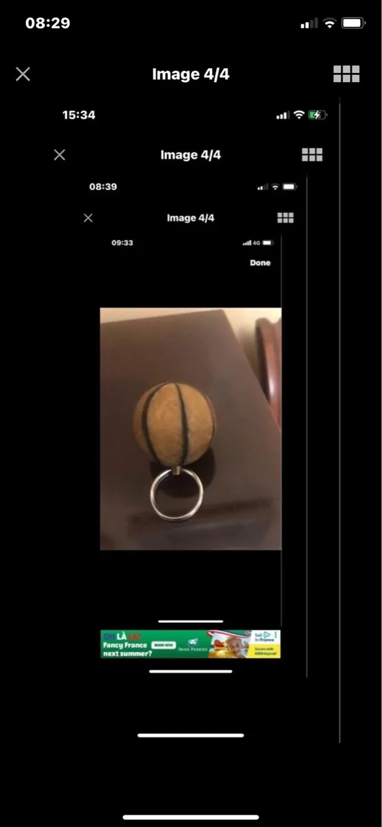 Novelty Key Rings - Image 4