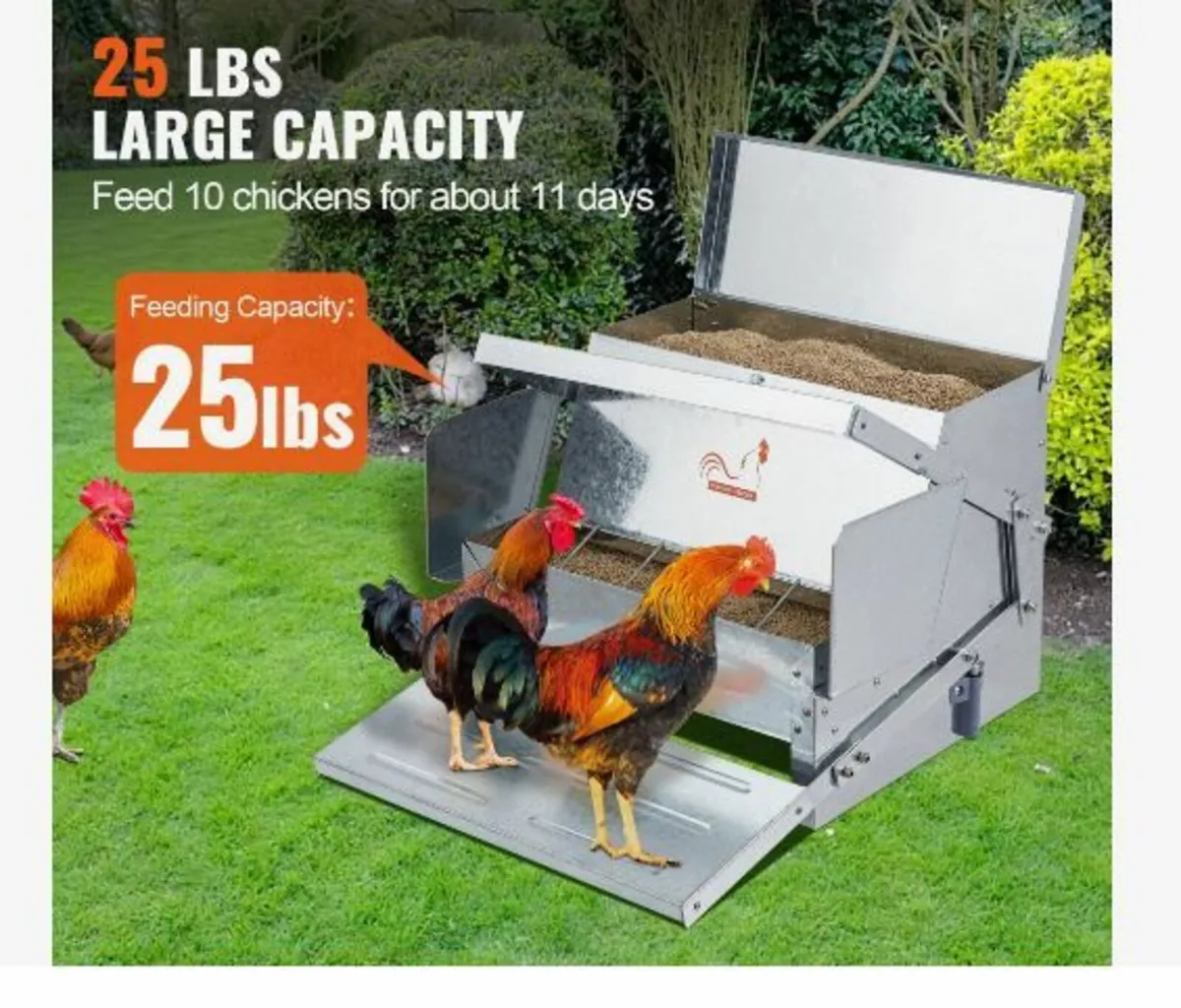 Automatic Chicken Feeder - Image 2