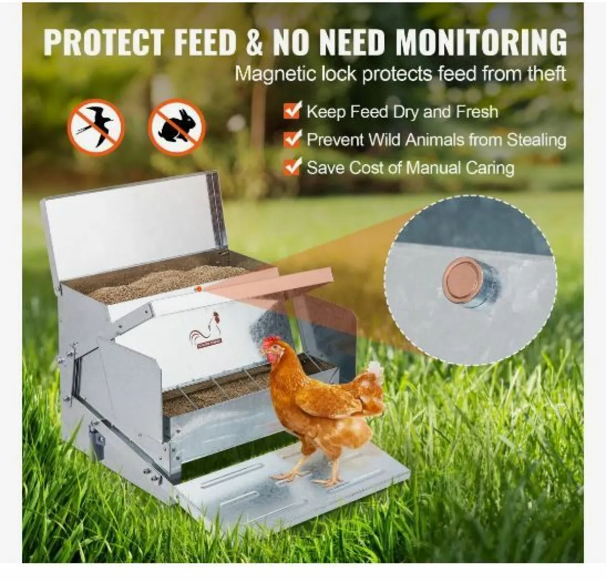 Automatic Chicken Feeder - Image 3