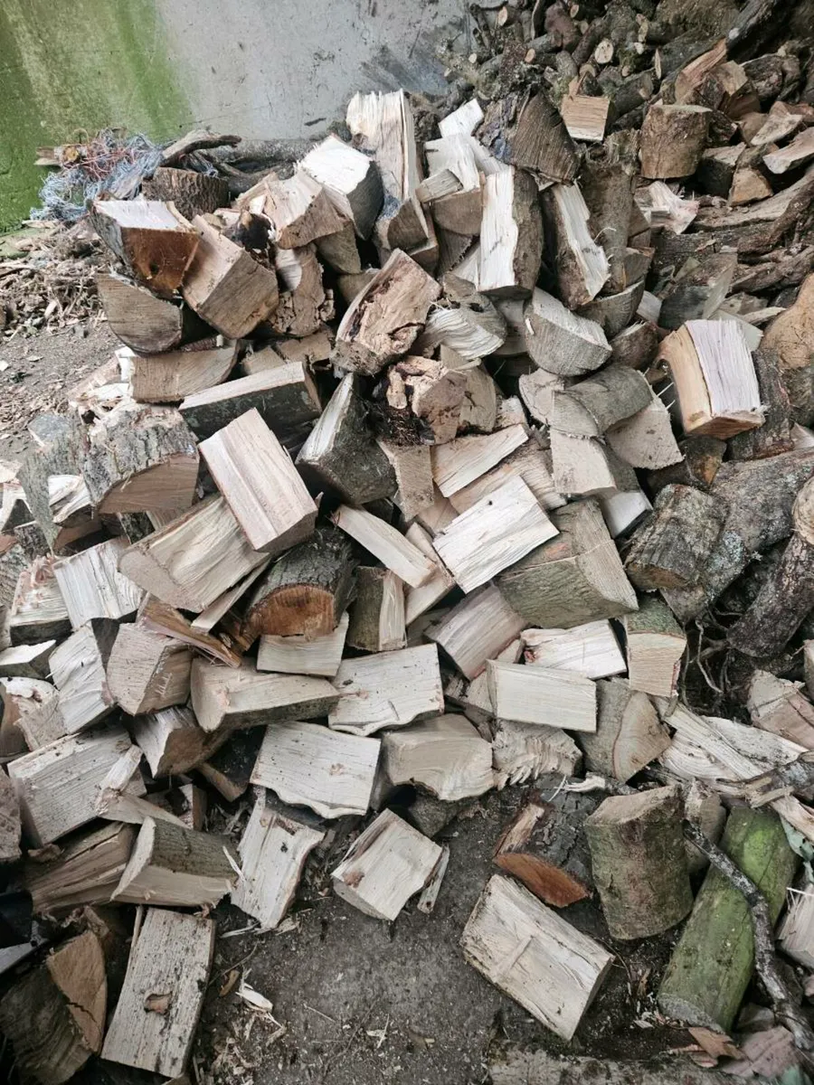 Firewood - Image 2
