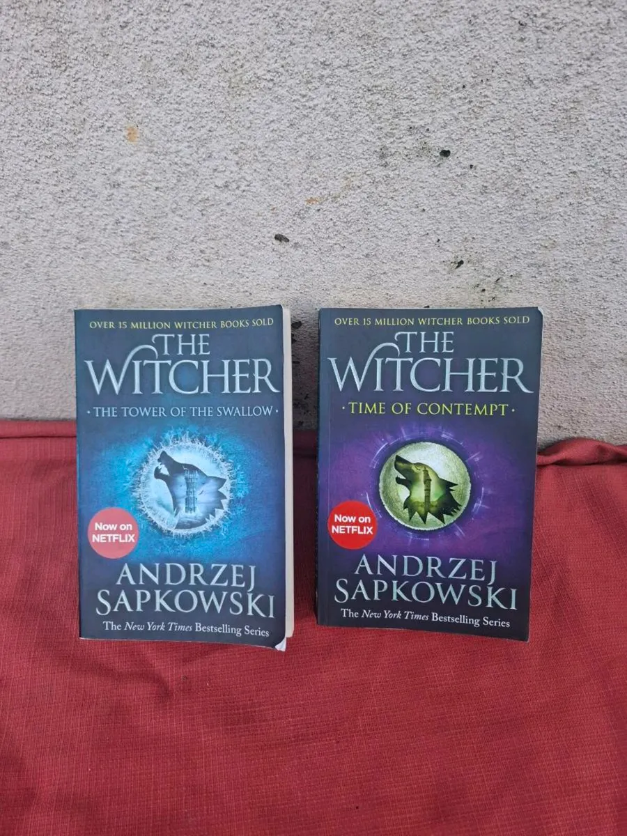 The witcher books