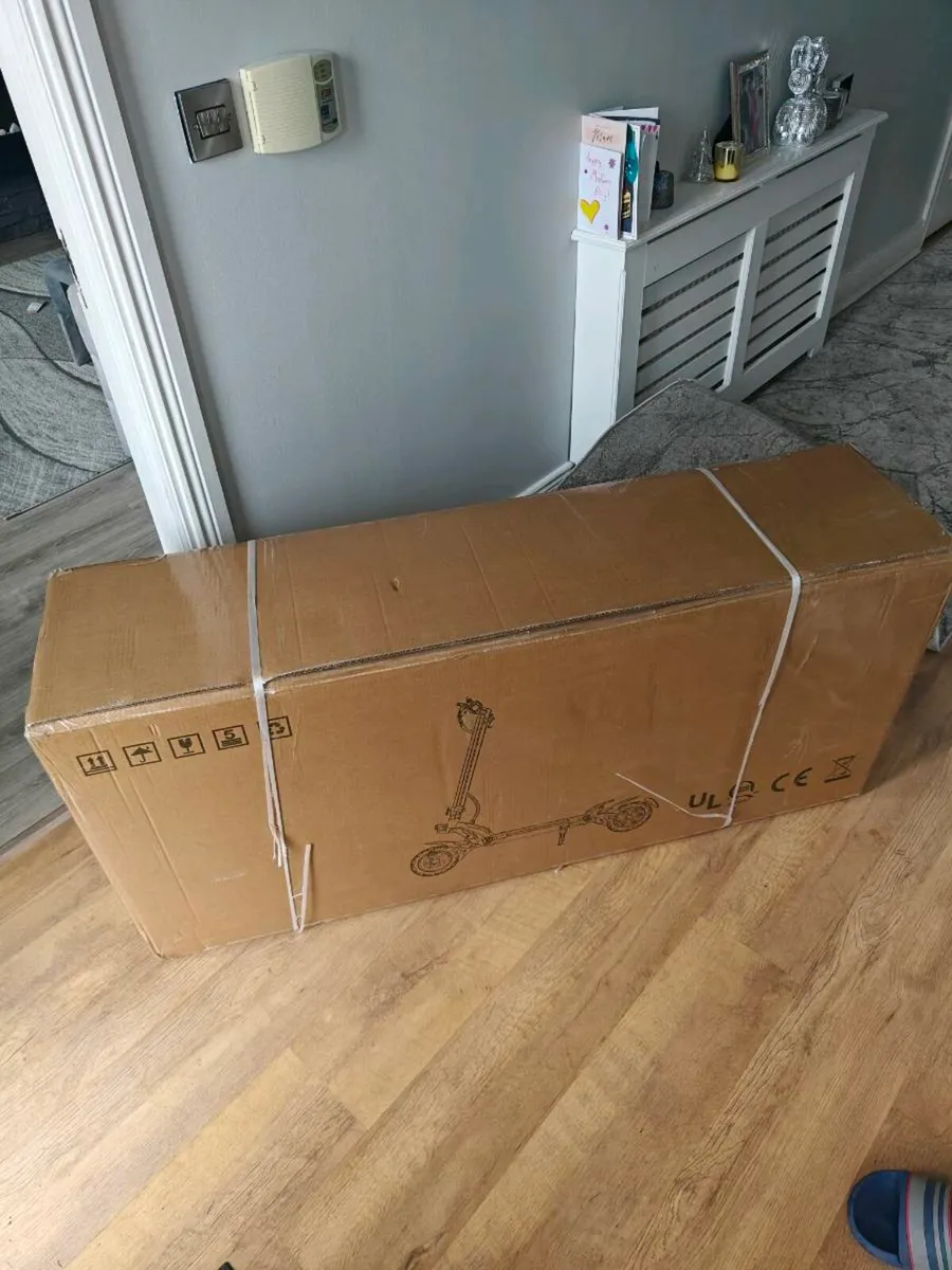 FreeBoy H9 1/1 Scooter - Image 2