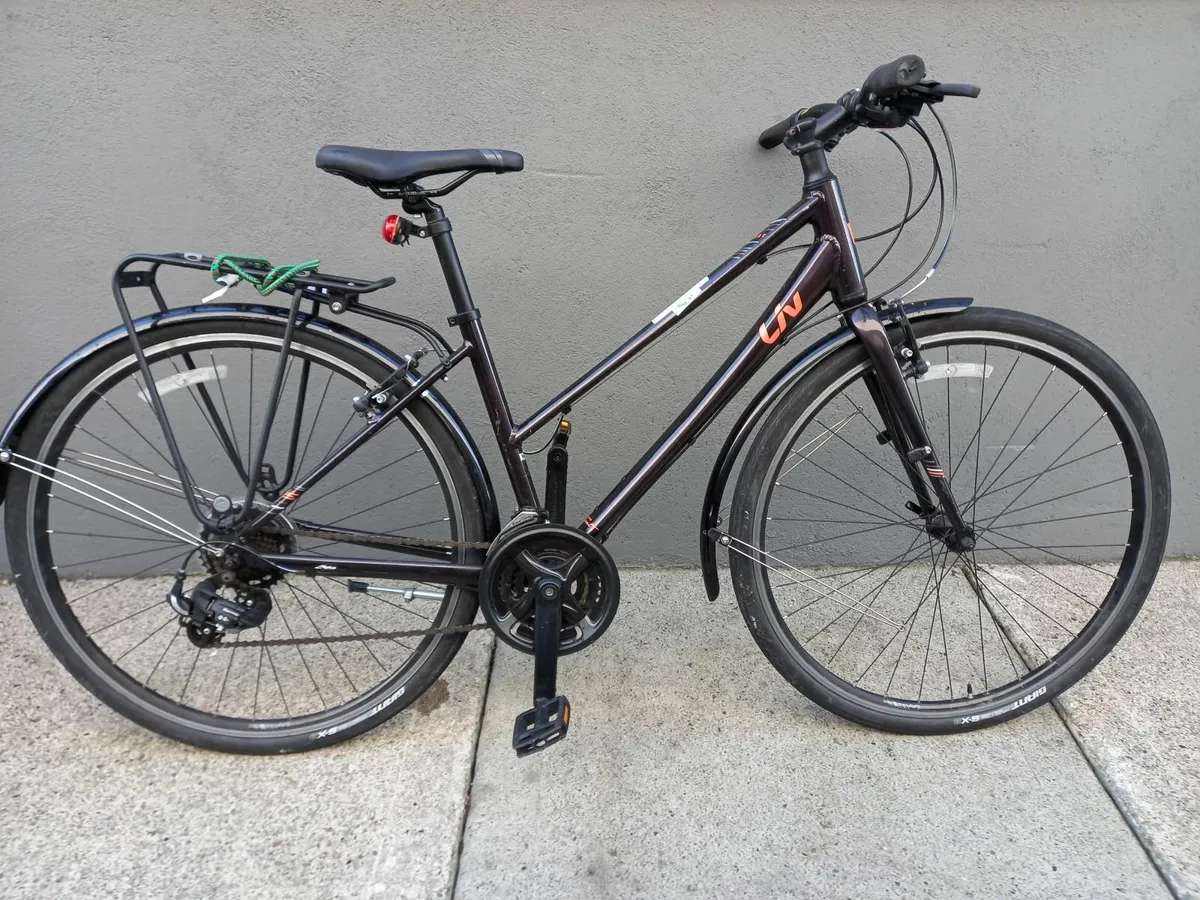 Online Auction Of A Liv Alight 3 Bike & More! - Image 4