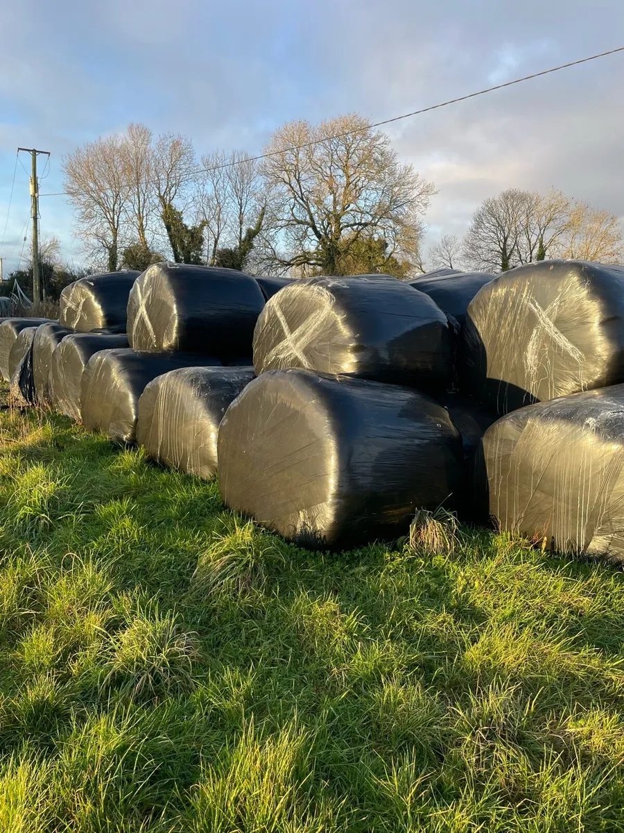 Silage
