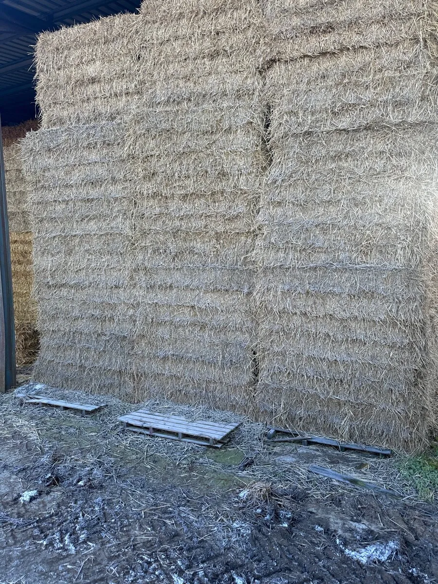 Coffin Bales Wheaten Straw - Image 2