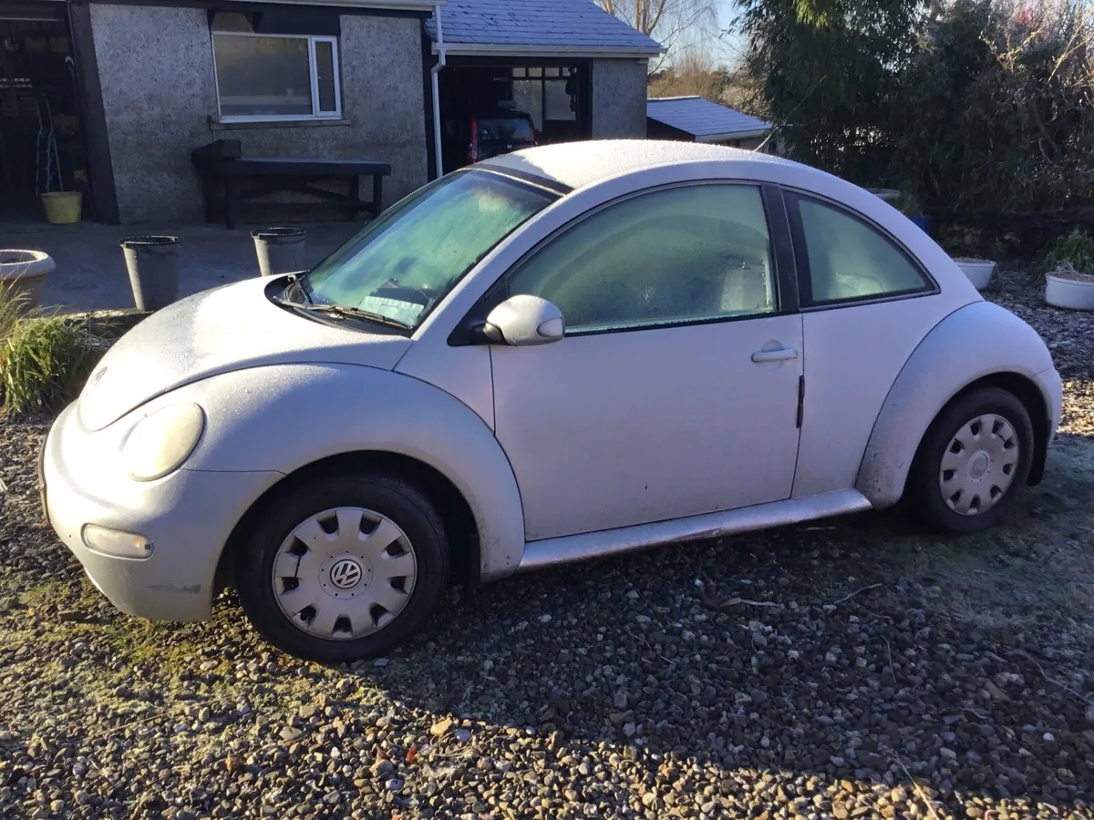 Volkswagen Beetle - Image 3