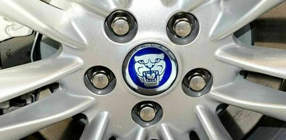 Blue Jaguar Caps - FREE POST - Image 1