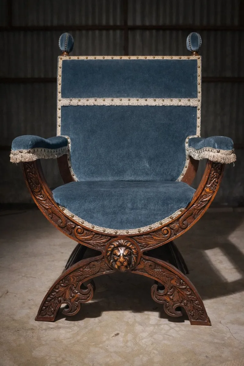19th Century gothic carved throne chair velvet - Image 1