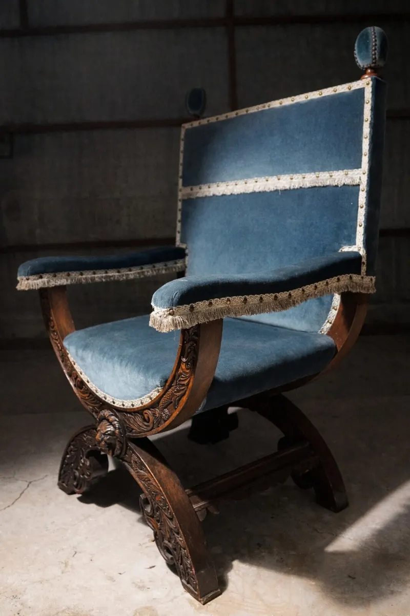 19th Century gothic carved throne chair velvet - Image 2