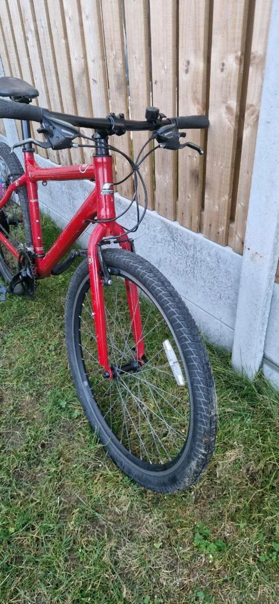 Lightweight carrera ( serviced ) ( delivery ) - Image 4