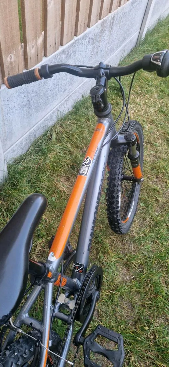 Lightweight Kids 20 inch bike (serviced, delivery) - Image 3