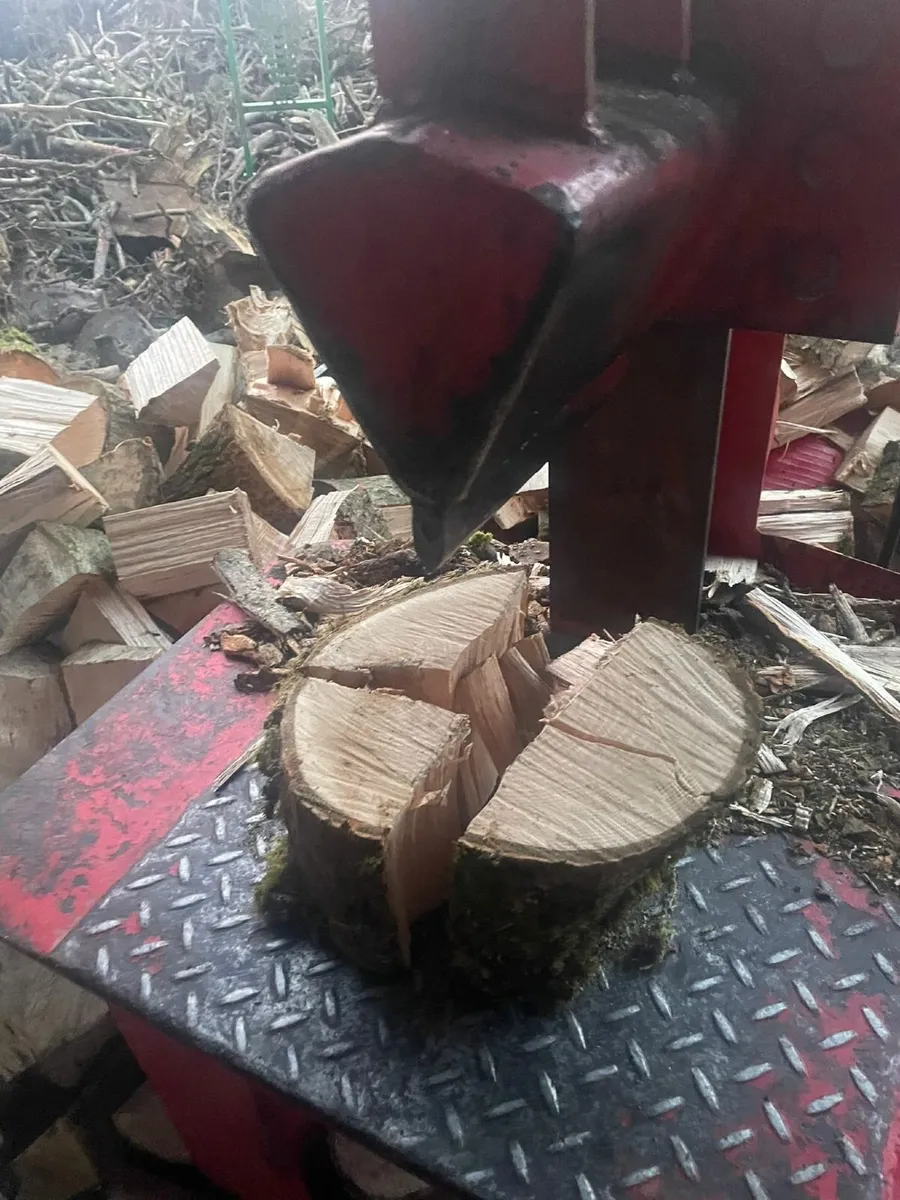 Firewood - Image 3