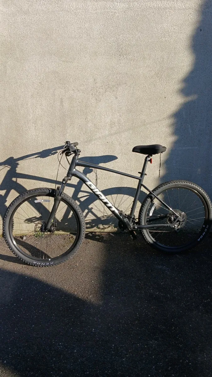 Bike - Image 1