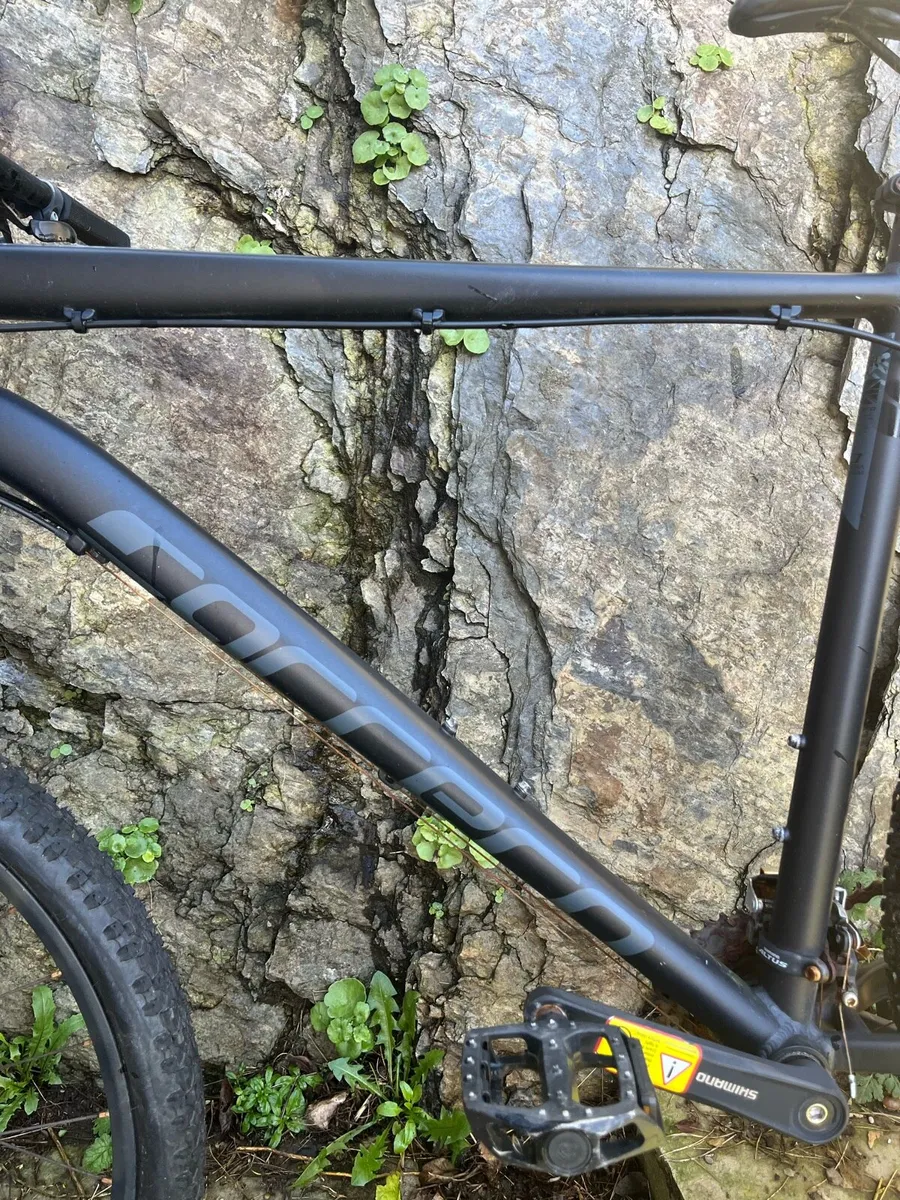 Carrera mountain bike - Image 2