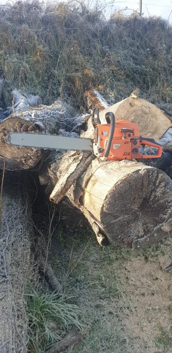 Chainsaw - Image 2