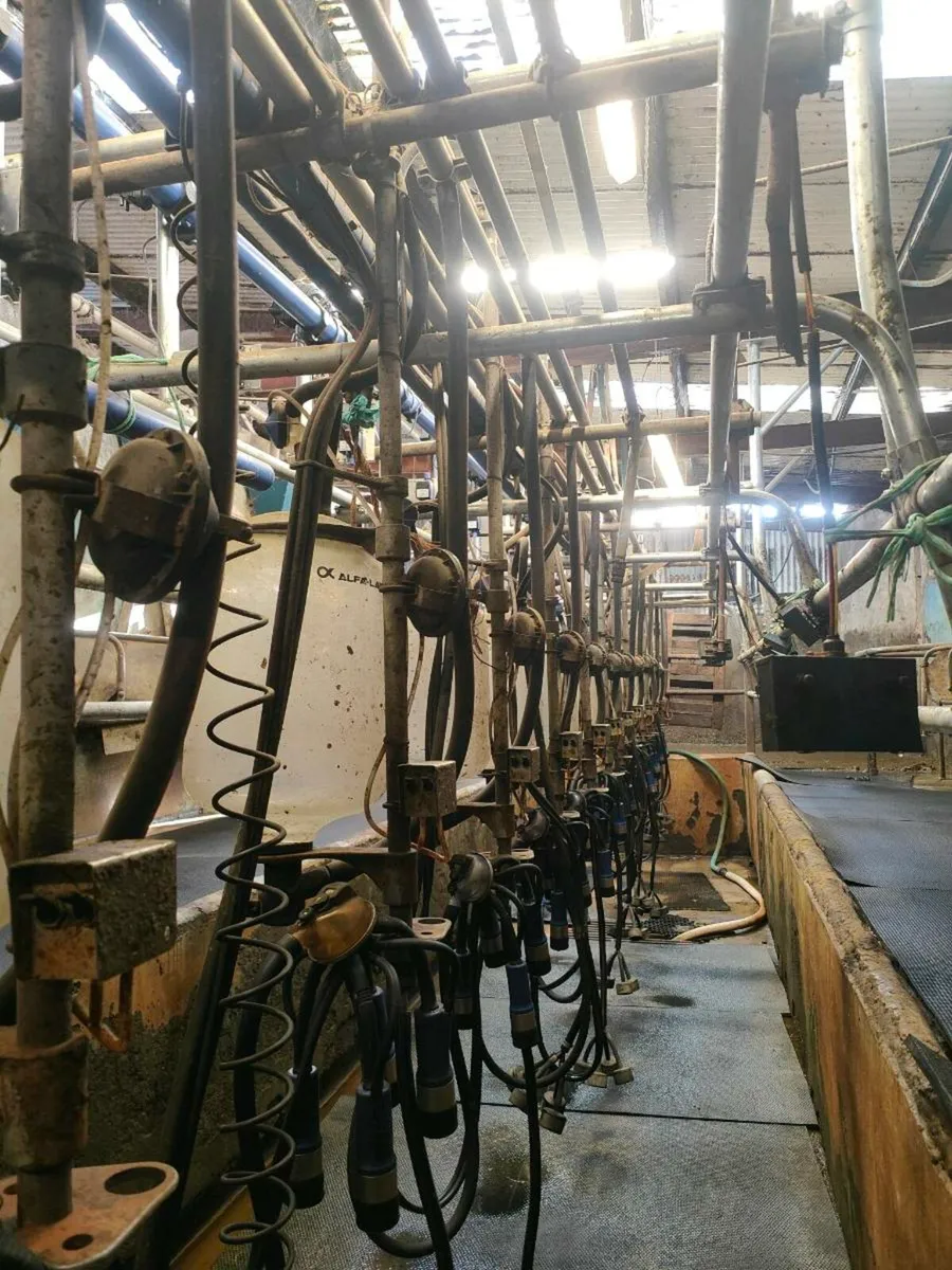 Milking parlour - Image 1