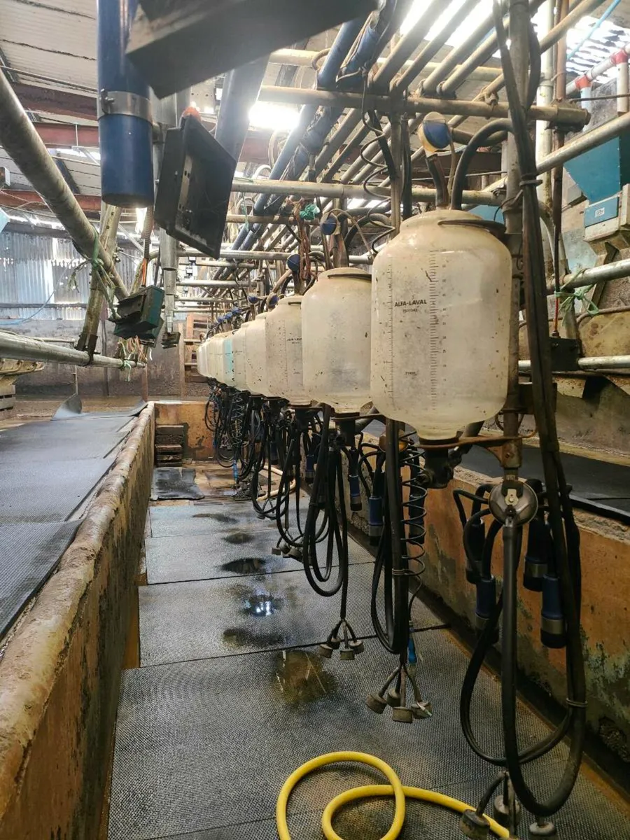 Milking parlour - Image 2