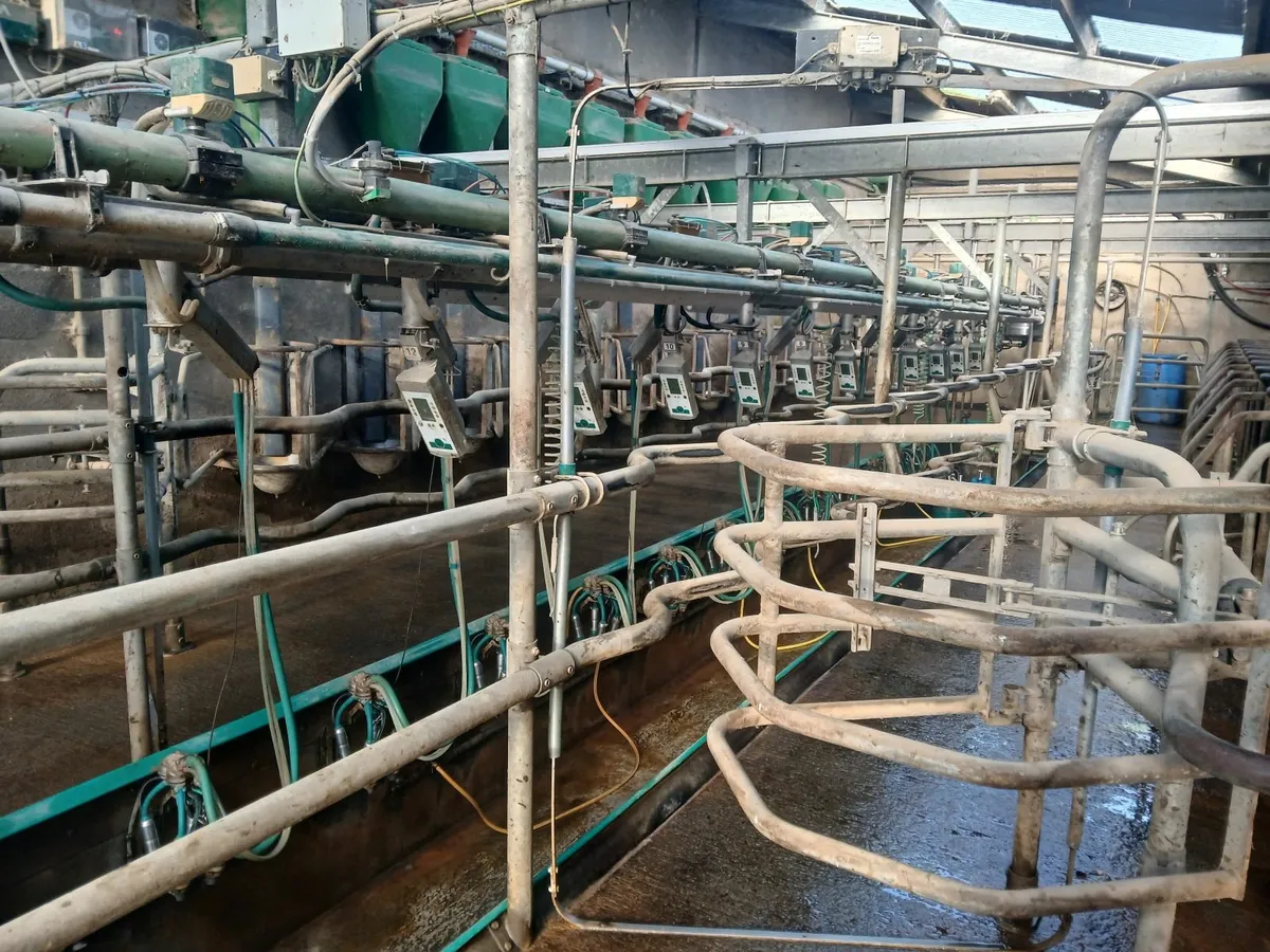 Milking parlour - Image 2