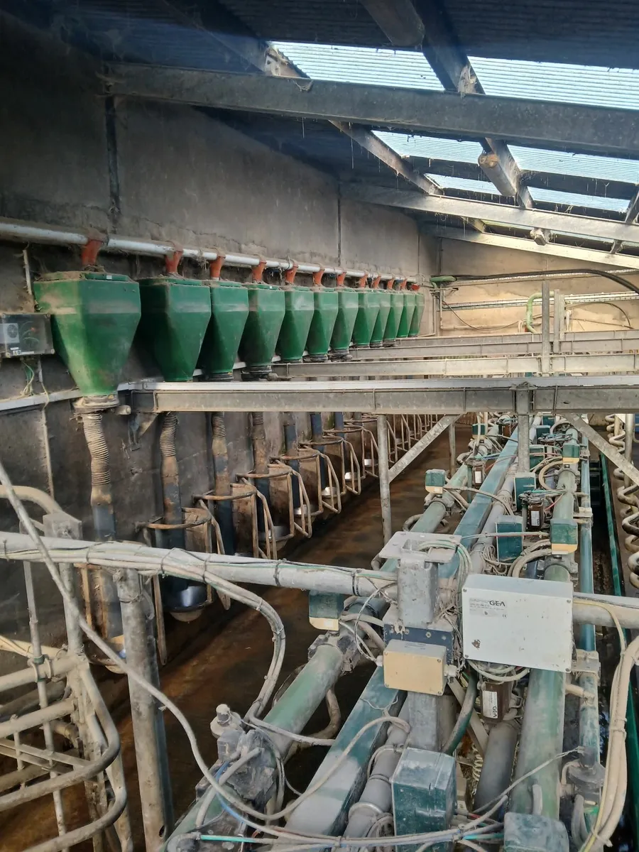 Milking parlour - Image 3